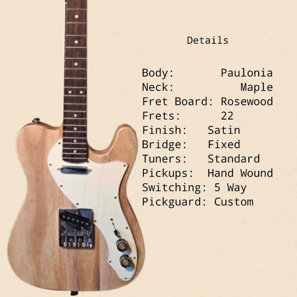 Oren Seed Vintage Player Guitat